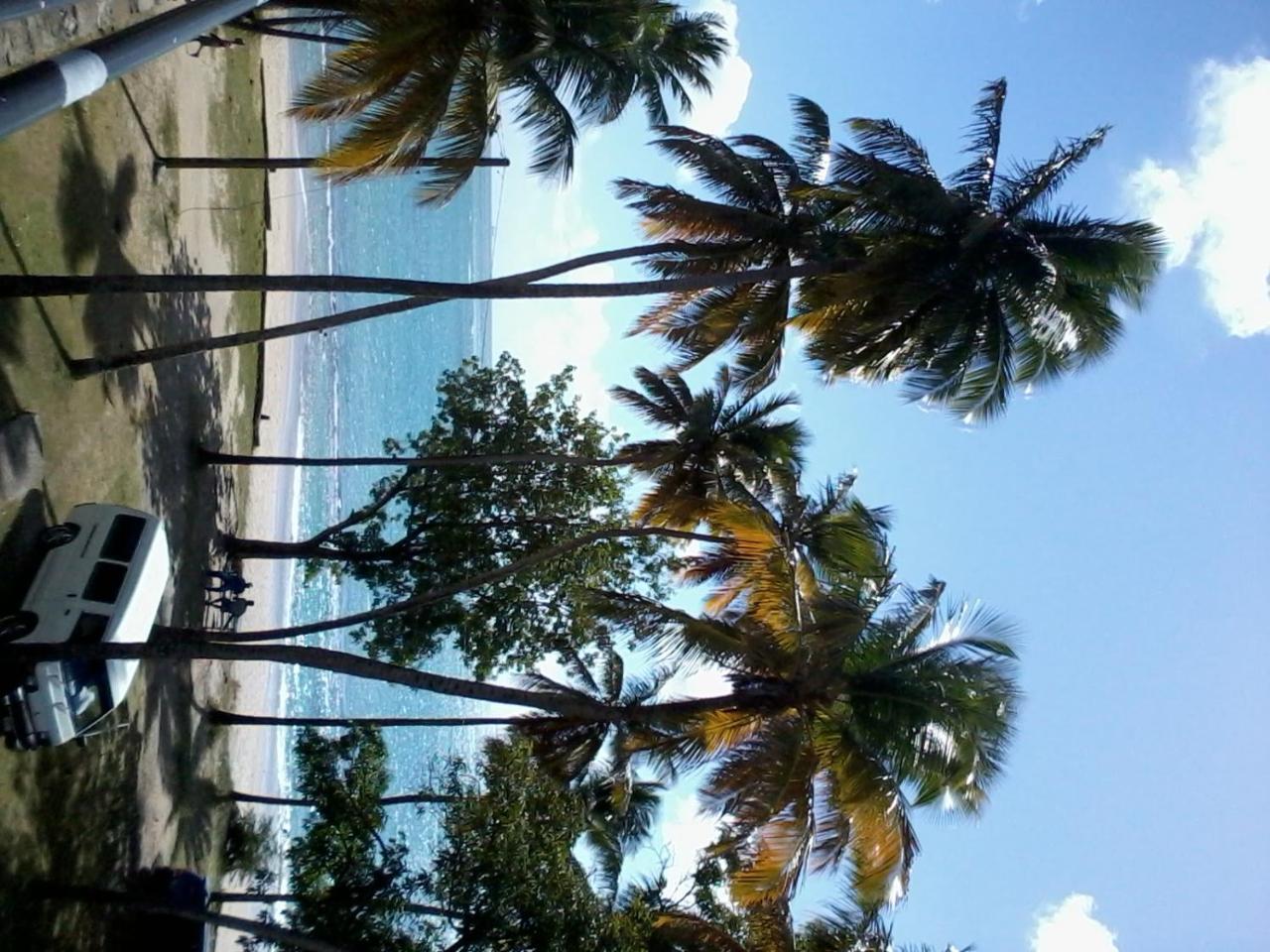 Palm View Leilighet Laborie Eksteriør bilde
